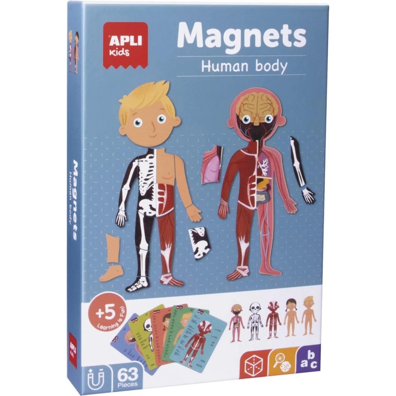 Apli Kids Apli Kids Μαγνητικό Παιχνίδι Το Ανθρώπινο Σώμα (AP-18531)