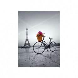 Παζλ Ποδήλατο Με Λουλούδια Στο Παρίσι (1220-35014)