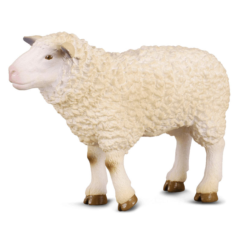 CollectA Πρόβατο (PR-88008)