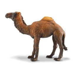 CollectA Δρομάδα Καμήλα (PR-88208)