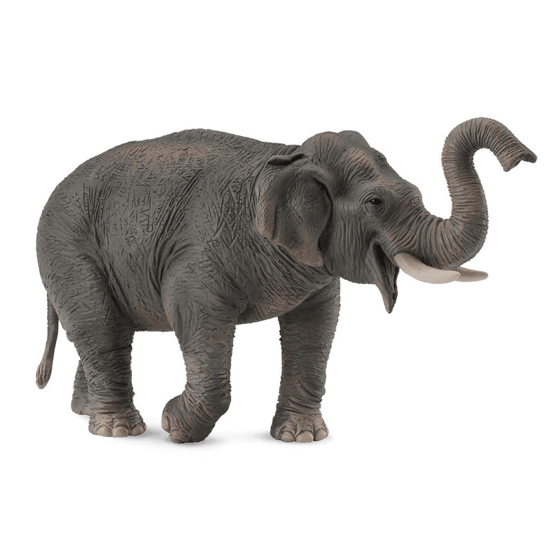 Collecta CollectA Ασιατικός Ελέφαντας (PR-88486)