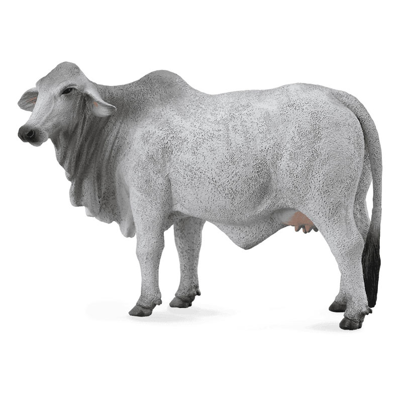 CollectA Αγελάδα Μπράμαν (PR-88580)