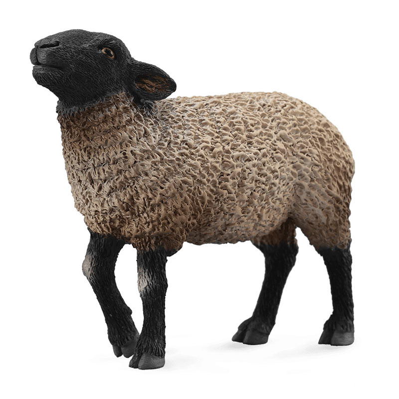 CollectA Πρόβατο Σάφολκ (PR-88636)