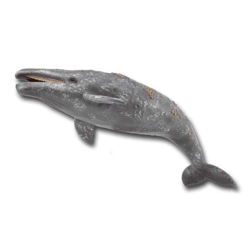 CollectA Γκρίζα Φάλαινα (PR-88836)