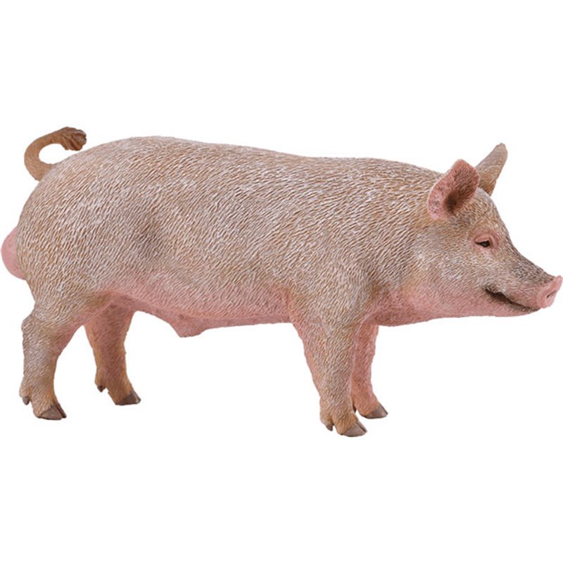 CollectA Αρσενικό γουρούνι (PR-88864)