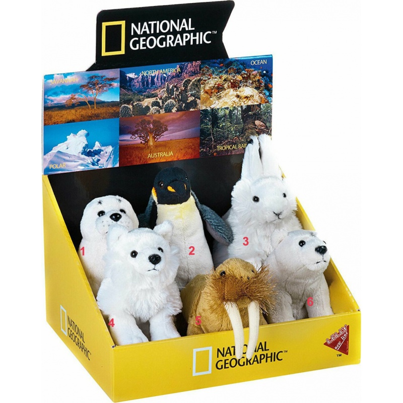 National Geographic National Geographic Αρκτικη - 6 Σχέδια (770703)