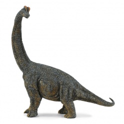 CollectA Δεινοσαυρος Βραχιοσαυρος Μεγαλος (88405)